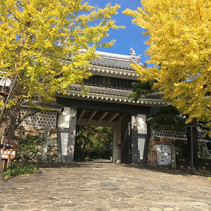 田原市博物館 秋の桜門 田原市博物館 秋の桜門