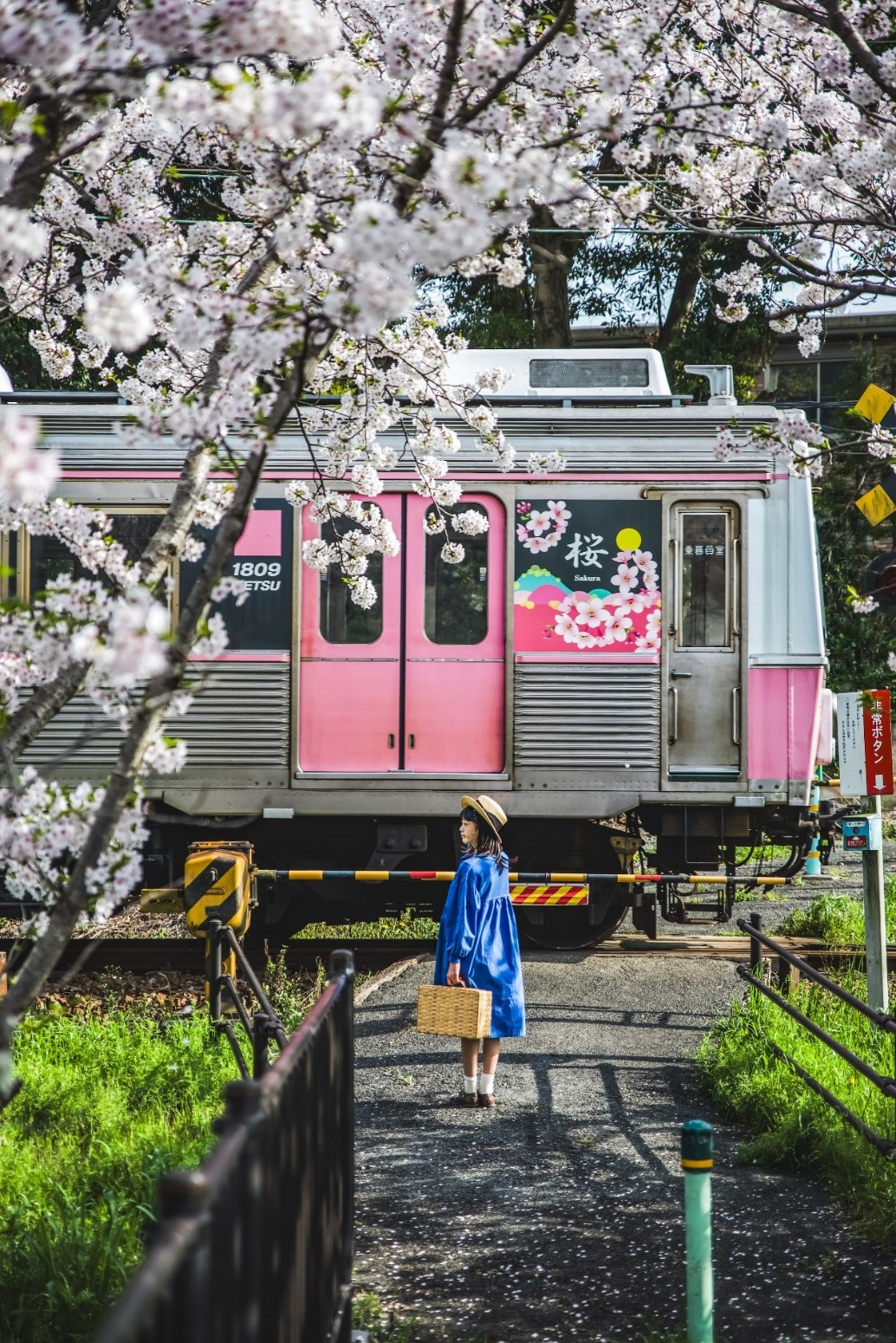 とよはし市電を愛する会賞(sakura_sky_memories様) とよはし市電を愛する会賞